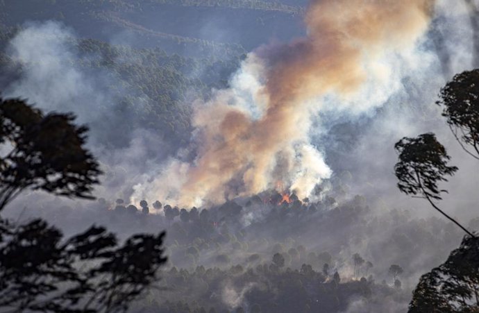 Archivo - Arquivo – Membros da UME e do Infoca continuam os trabalhos de combate ao incêndio florestal na região de Olivargas, em Almonaster la Real (Huelva, Andaluzia, Espanha); em 29 de agosto de 2020.