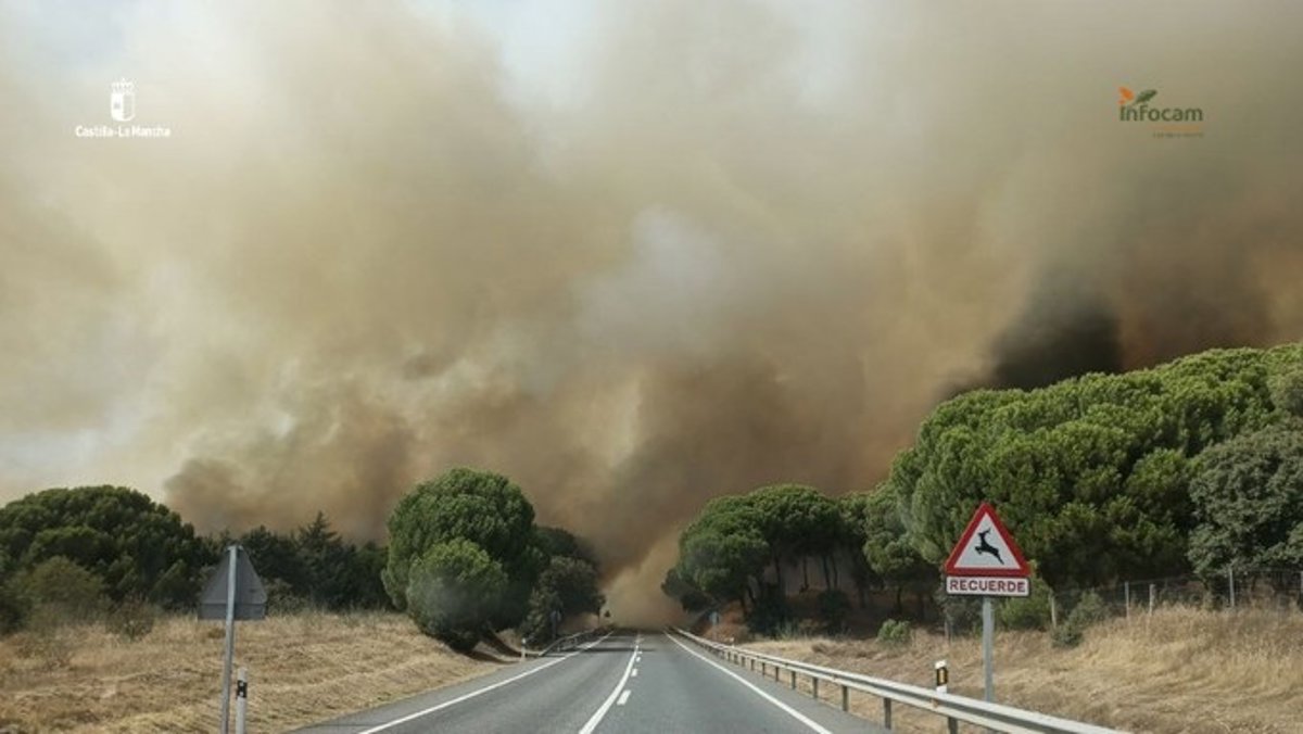 Ecologistas pide a Junta una reunión extraordinaria del Consejo Asesor de Medio Ambiente para abordar los incendios