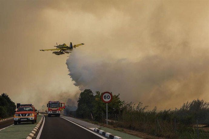 Un avión y coches de bomberos durante las labores de extinción de un incendio forestal, a 27 de agosto de 2026, en la Gola de Pujol, El Saler, Valencia
