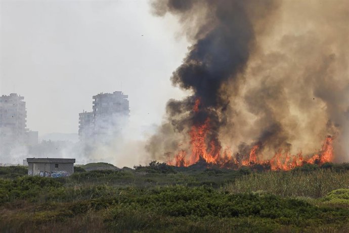 Fuego y columna de humo provocada por un incendio forestal, a 27 de agosto de 2026, en la Gola de Pujol, El Saler, Valencia