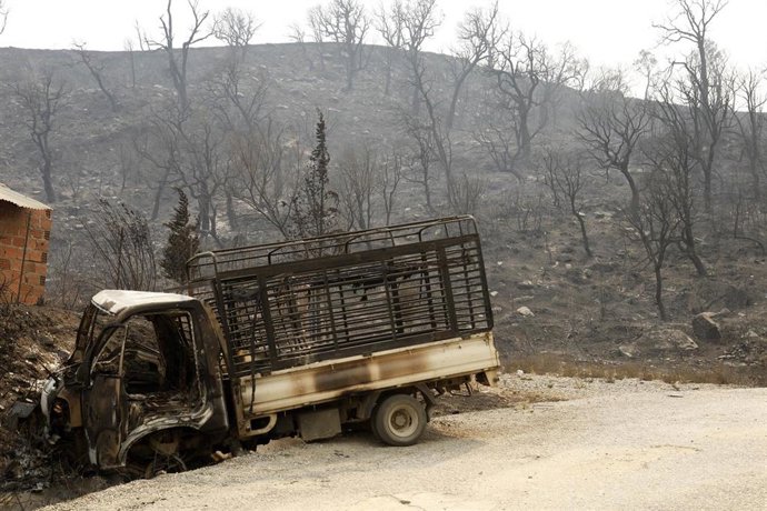 Daños materiales por los incendios forestales en la provincia de Jijel, en Argelia, en agosto de 2026 (archivo)