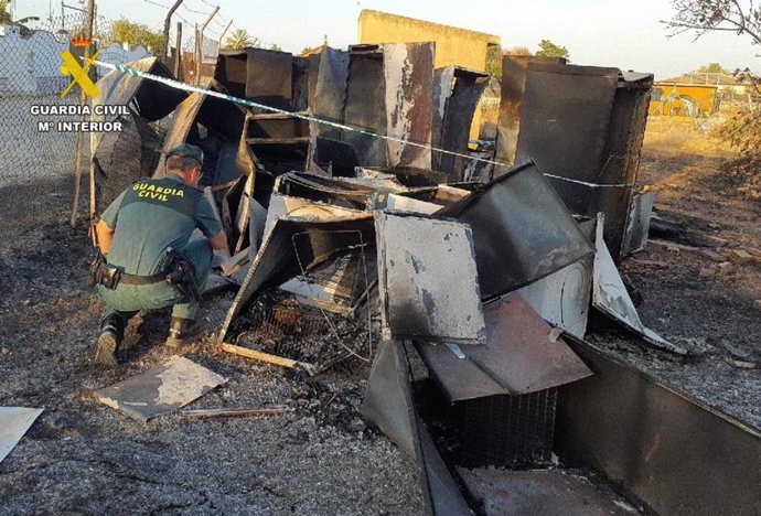 Un agente de la Guardia Civil comprueba los efectos del incendio forestal de Pilas originado este agosto