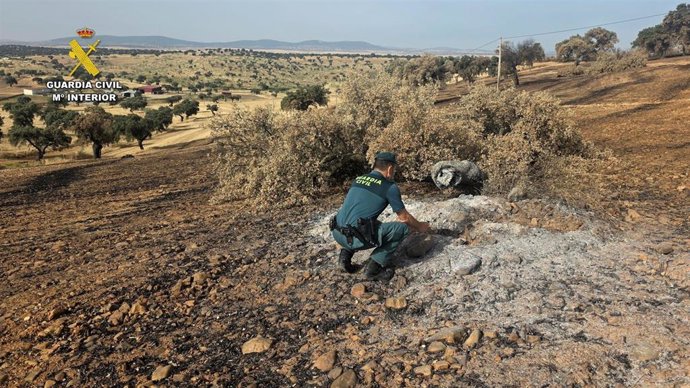 Un agente investiga en la zona donde se originó el incendio en Los Blázquez.