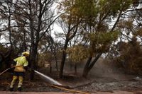 El Seprona descarta causas naturales en el incendio de El Saler y apunta a un fuego intencionado