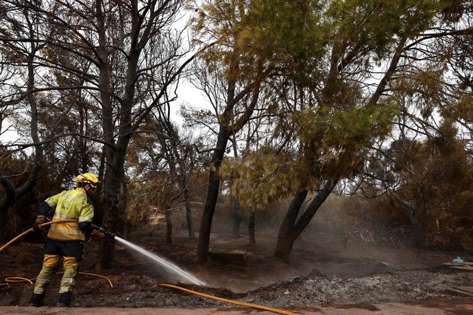 Bombeiros atuando nesta sexta-feira no incêndio em El Saler