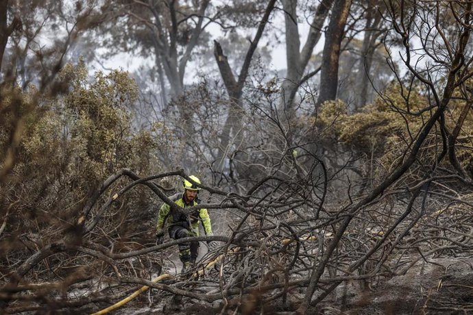 Un bombero realiza labores de extinción de incendios, a 28 de agosto de 2026, en El Saler