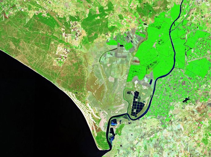 Imagen del Sentinel 2 publicada por el Espacio Natural de Doñana para indicar el estado de la zona de marismas en este último tramo del verano.