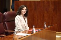 Más Madrid critica que la Mesa de la Asamblea le inadmita 16 iniciativas presentadas sobre el ático de Chamberí