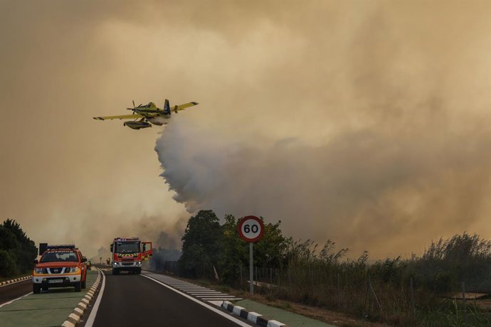 Um avião e viaturas de bombeiros durante as operações de combate a um incêndio florestal, em 27 de agosto de 2026, na Gola de Pujol, El Saler, Valência, Comunidade Valenciana (Espanha). Três meios aéreos e seis equipes do Corpo de Bombeiros Municipal de V