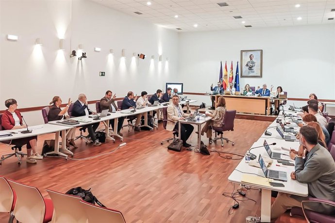 Pleno en el Ayuntamiento de Guadalajara.