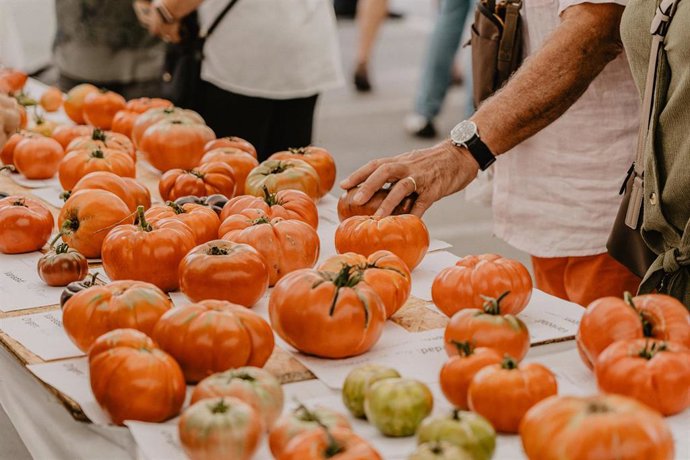 Archivo - Tomates