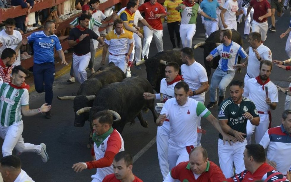 Sexto encierro de las fiestas de San Sebastián de los Reyes.