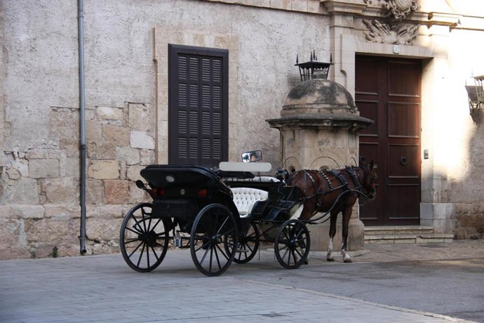 Archivo - Un caballo junto a una calesa.