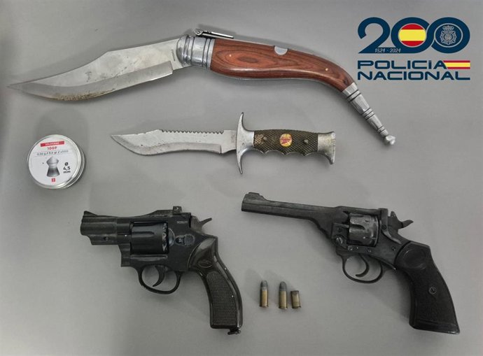Armas de fuego intervenidas.