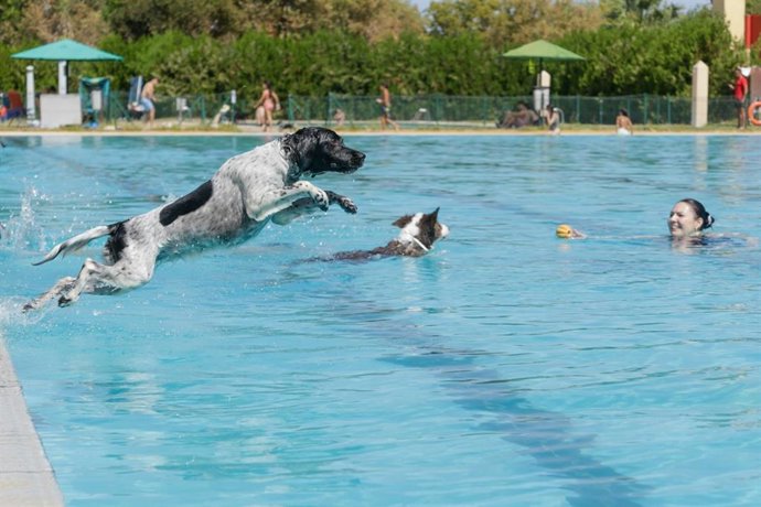 Archivo - Actividad 'Patas al agua' en Mérida