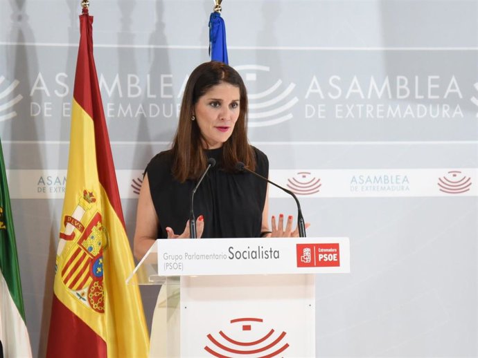 Archivo - La portavoz del Grupo Socialista en la Asamblea, Isabel Gil Rosiña, en una comparecencia en el parlamento autonómico.