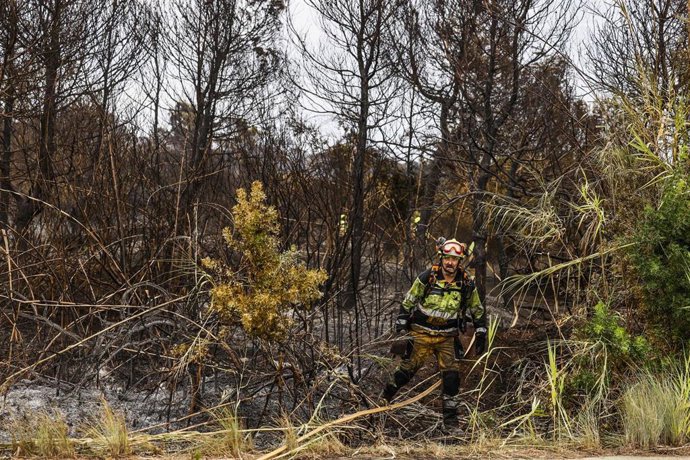 Un bombero realiza labores de extinción de incendios, a 28 de agosto de 2026, en El Saler, Comunidad Valenciana (España). 