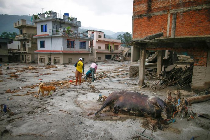 August 29, 2027, Nuwakot, Nepal: A dead buffalo lies on the ground as people collect their belongings in a flood-affected area as rescue and relief efforts continue following devastating flash floods and mudslides at Devighat in Bidur Municipality, Nuwako