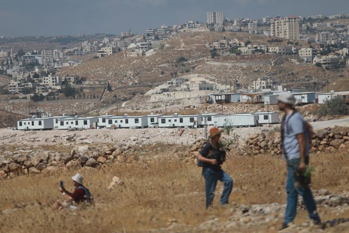 14 de agosto de 2026, Hebron, Cisjordânia, Território Palestino: Palestinos e ativistas internacionais participam de confrontos depois que colonos israelenses abriram fogo com munição real enquanto o grupo acompanhava proprietários de terras palestinos at