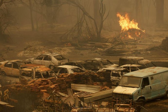 Archivo - Consecuencias de los incendios forestales en una aldea de las montañas de Jijel, en el noreste de Argelia