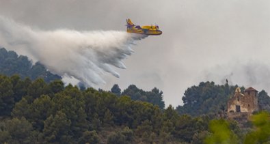 Medio Ambiente