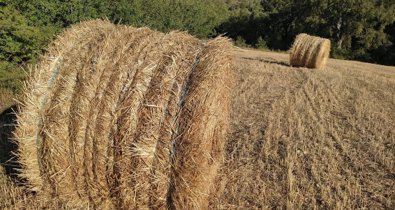EpAgro - Agricultura