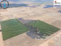 Estabilizado el incendio declarado en Pozuelo de Tábara (Zamora)