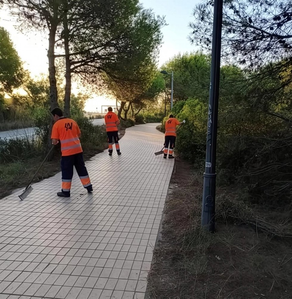 Limpieza en El Saler tras el incendio