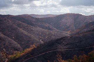 Entorno afectado por el incendio de Niebla en El Berrocal. 