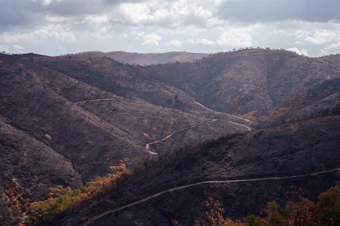 Entorno afectado por el incendio de Niebla en El Berrocal. 