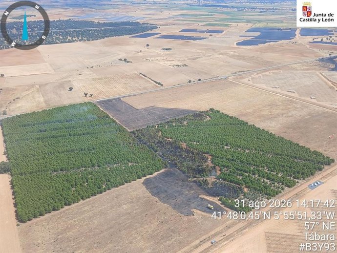 Vista aérea de la superficie afectada por un incendio en Pozuelo de Tábara (Zamora).