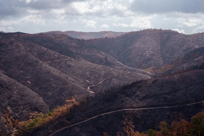 Entorno afectado por el incendio de Niebla en El Berrocal. 