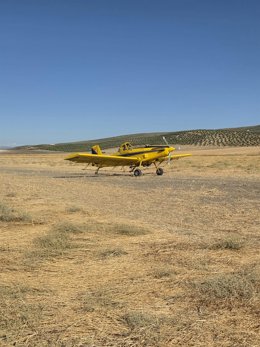 Una avioneta participante en la campaña contra la mosca del olivo.