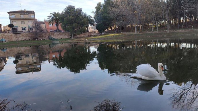 Archivo - La balsa de la localidad zaragozana de Jaulín y al findo el parque botánico.