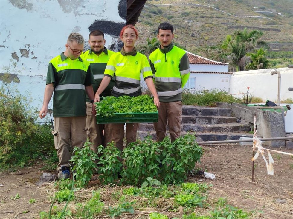 Programa 'Segundas Oportunidades' del Cabildo de Tenerife