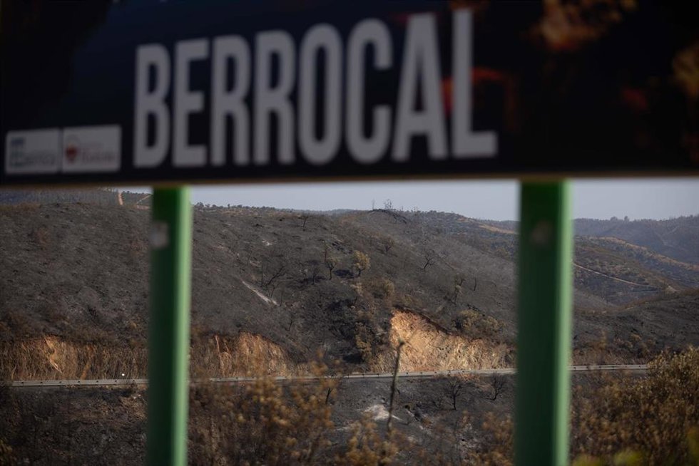 El incendio de Niebla deja un paisaje desolador en Berrocal (Huelva). Imagen de archivo.