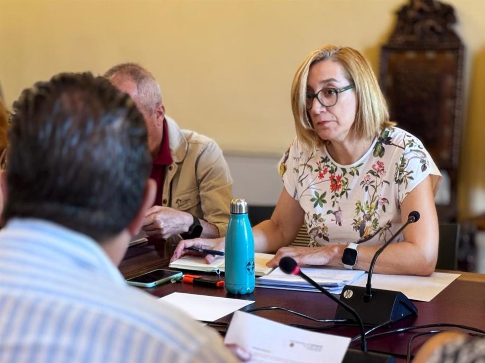 La portavoz del Grupo Municipal Valladolid Toma la Palabra, Rocío Anguita.