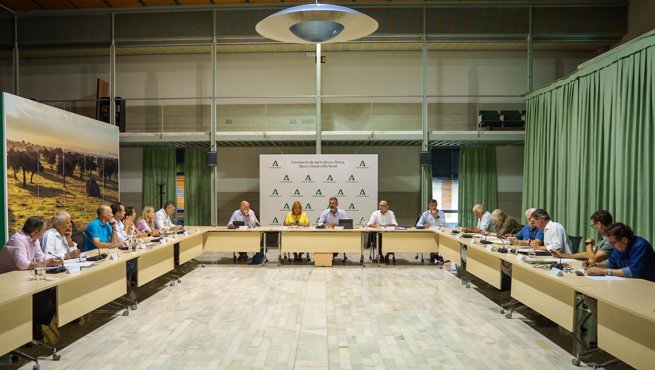Es Andalucía - Sevilla