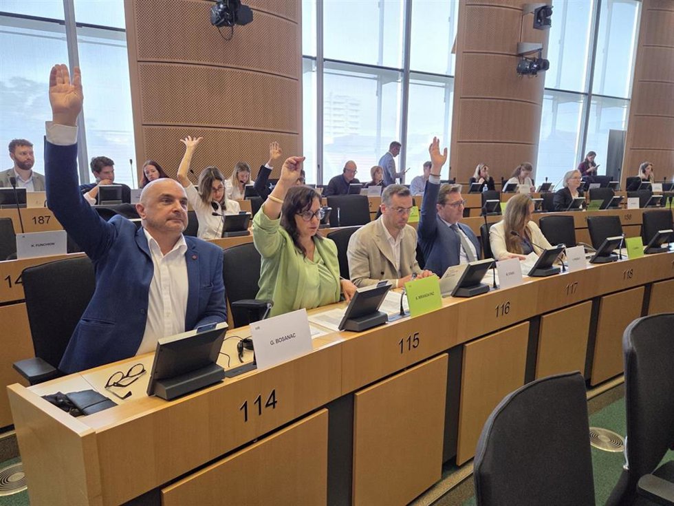 La eurodiputada del BNG, Ana Miranda, durante la votación