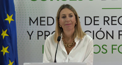 Vídeos