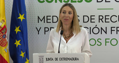 Vídeos