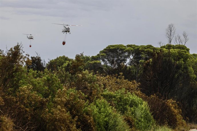 Varios helicópteros apagafuegos sobrevuelan el cielo, a 28 de agosto de 2026, en El Saler, Comunidad Valenciana (España). 