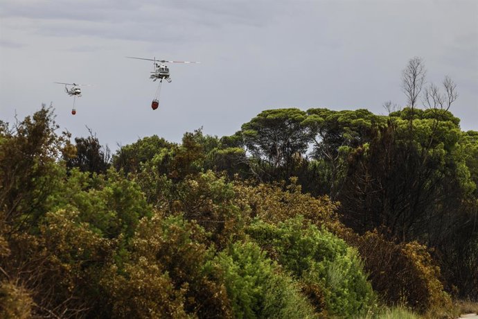 Diversos helicòpters apagafuegos sobrevolen el cel, a 28 d'agost del 2026, en El Saler, Comunitat Valenciana (Espanya). 