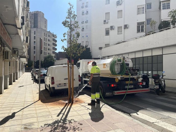 El Ayuntamiento de Sevilla ha reforzado el riego del arbolado en el distrito Los Remedios durante el verano, de manera que ha priorizado el arraigo de los 212 árboles incorporados durante las dos últimas campañas municipales en alcorques vacíos de la vía