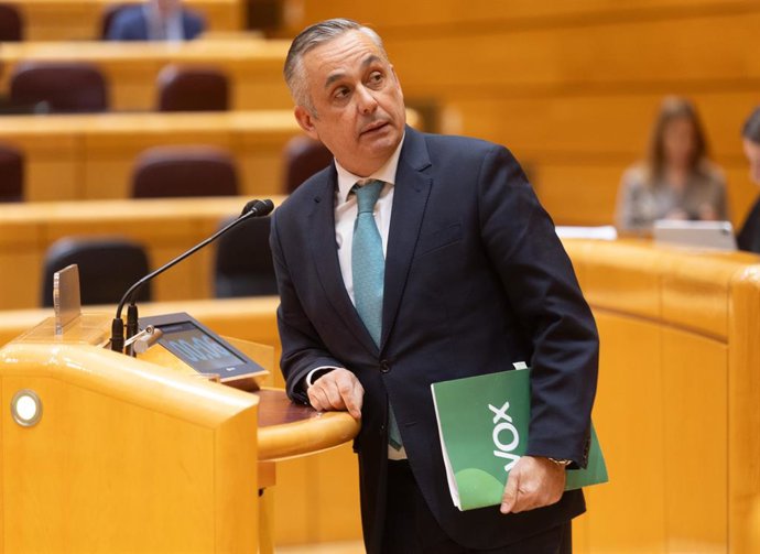 Archivo - Arquivo - O senador do VOX, Ángel Pelayo Gordillo, durante uma sessão plenária no Senado, em 4 de fevereiro de 2026, em Madri (Espanha). A Câmara Alta discute projetos e propostas de lei, como a Proposta de Lei de defesa e proteção
