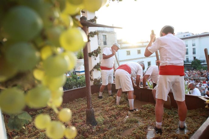 Pisadores de uva durante la ceremonia de la Pisa de la Uva enmarcada en la programación de las Fiestas de la Vendimia. 