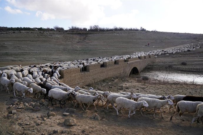 Archivo - Los restos del antiguo pueblo de Peñarubia han quedado al descubierto por la ausencia de agua en el embalse de Guadalteba a causa de la extrema sequía, a 3 de febrero de 2024 en Málaga, Andalucía, (España). 