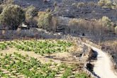 Foto: La Plataforma Gredos Vivo reivindica la viticultura de montaña como herramienta de prevención de incendios