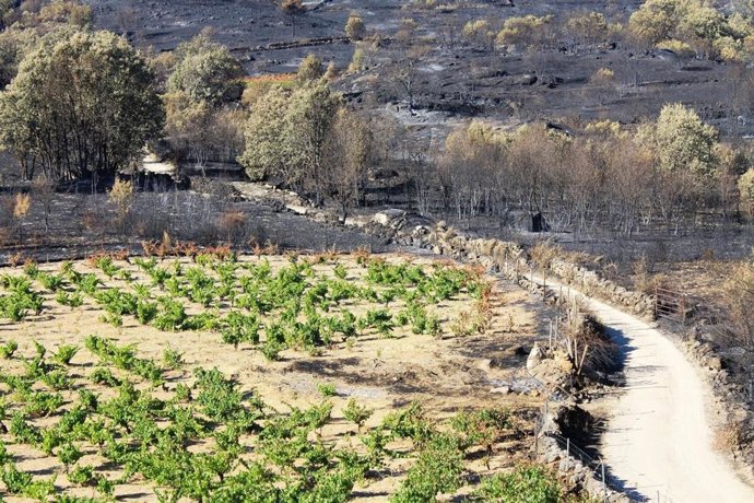 Paraje de El Horcajo.