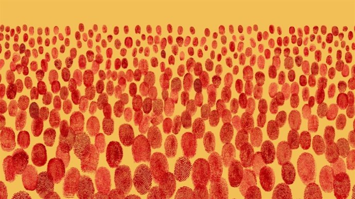 Cartell de la Diada de 2026